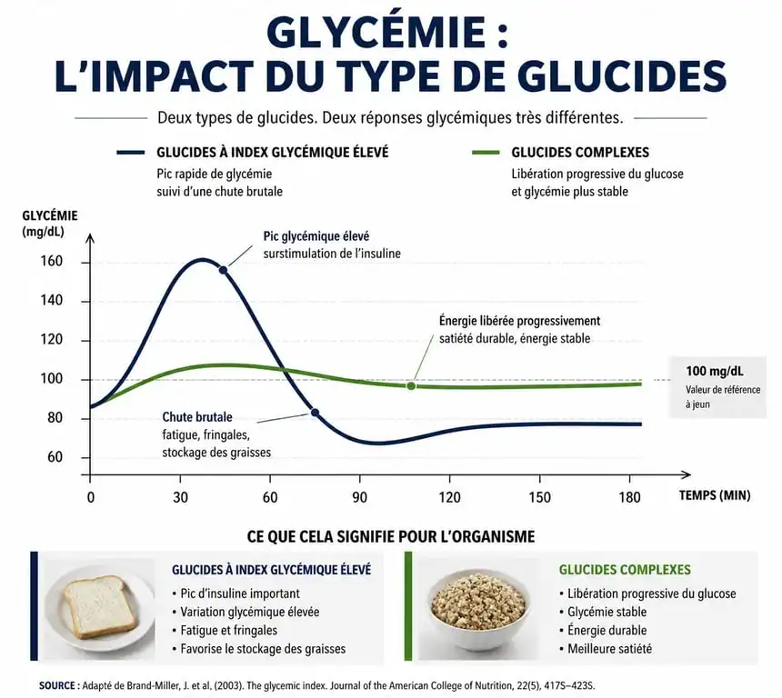 Infographie sur l'impact des aliments riches en glucides sur la glycémie et l'index glycémique